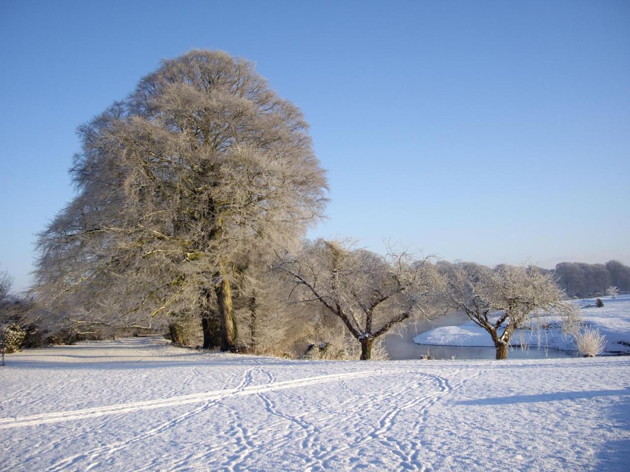 Warwick Hall คาร์ลไอเอิล ภายนอก รูปภาพ